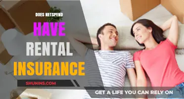 Does Netspend Offer Rental Insurance? A Comprehensive Guide for Cardholders