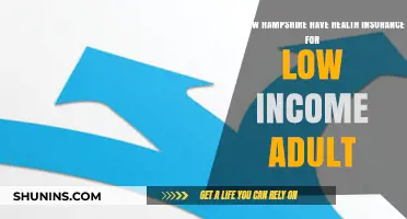 New Hampshire Health Insurance Options for Low-Income Adults Explained