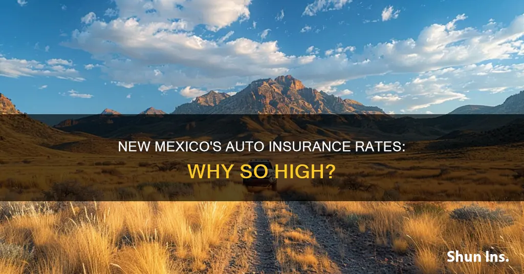 does new mexico have high auto insurance