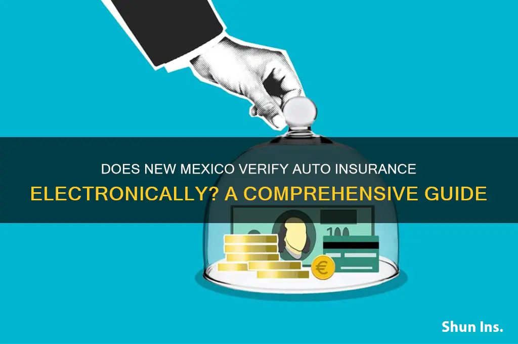 does new mexico have insurance verification system
