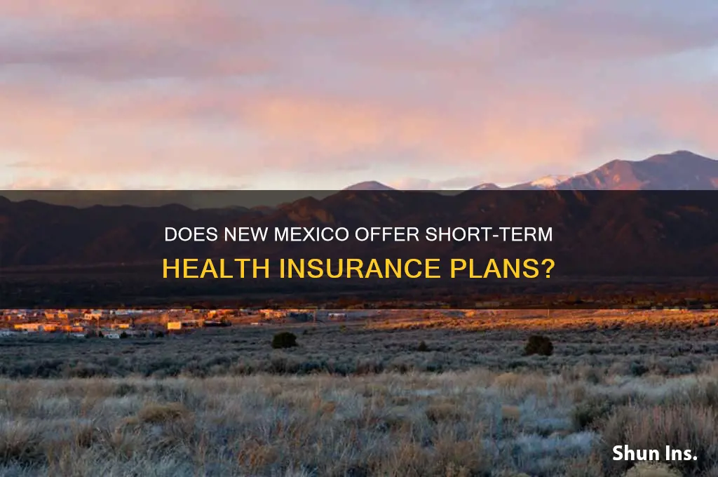 does new mexico sell short term health insurance