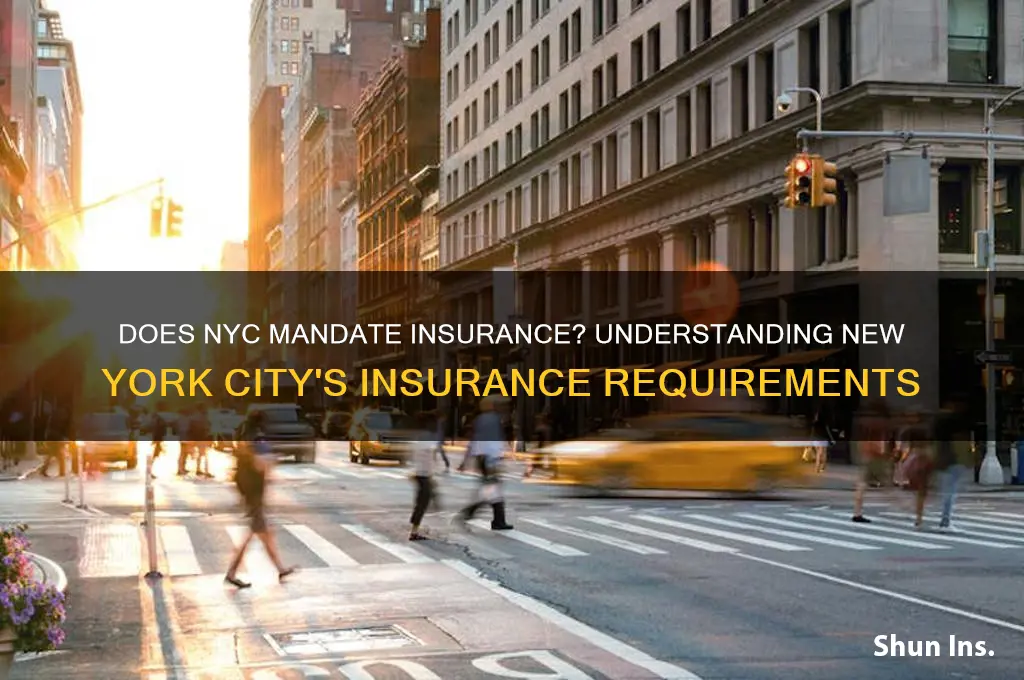 does new york city have mandated insurance