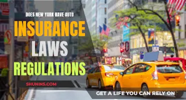 New York Auto Insurance: Understanding the Empire State's Regulations