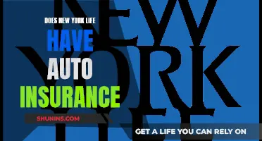 New York Life: Exploring Their Auto Insurance Options