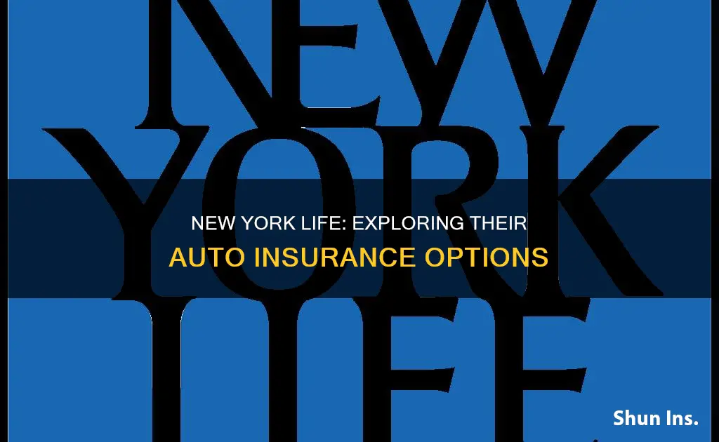 does new york life have auto insurance