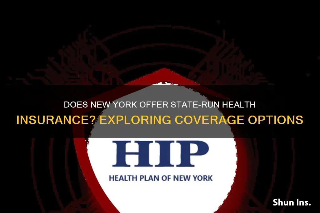does new york provide own health insurance