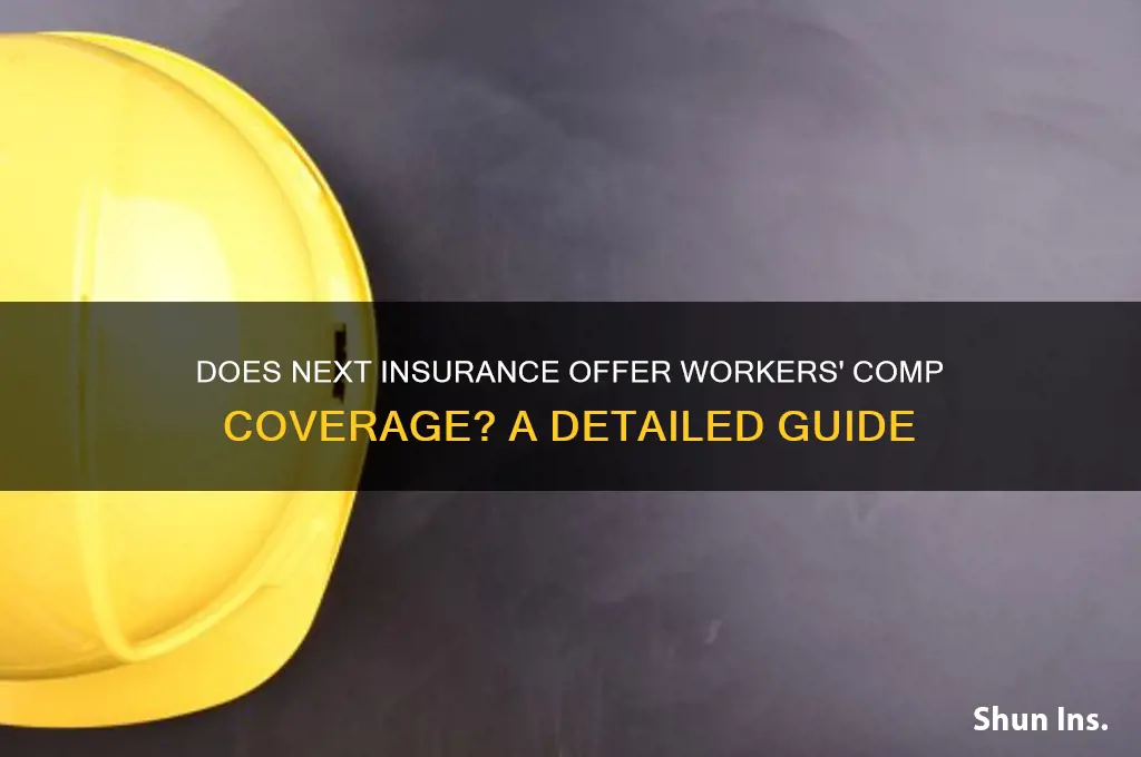 does next insurance have workers comp