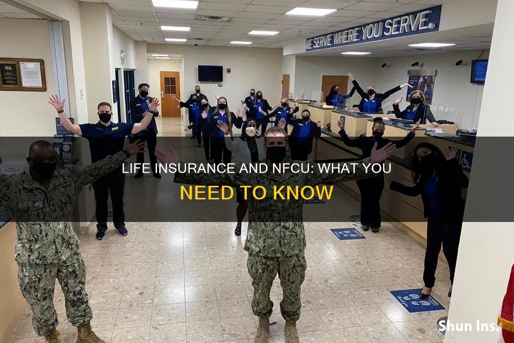 does nfcu have life insurance