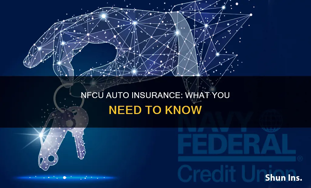 does nfcu offer auto insurance