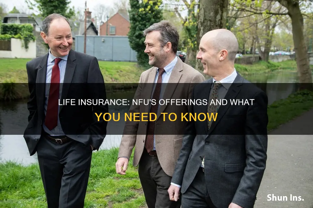 does nfu do life insurance