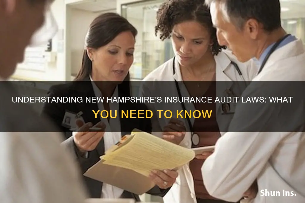 does nh have laws on insurance audit