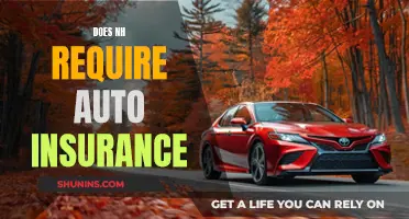 Does New Hampshire Demand Auto Insurance?