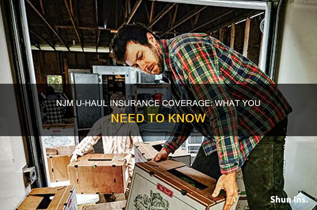 does njm have u haul insurance
