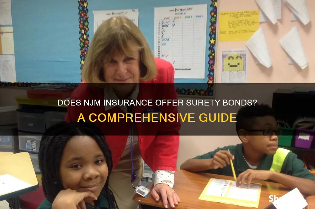does njm insurance issue surety bonds