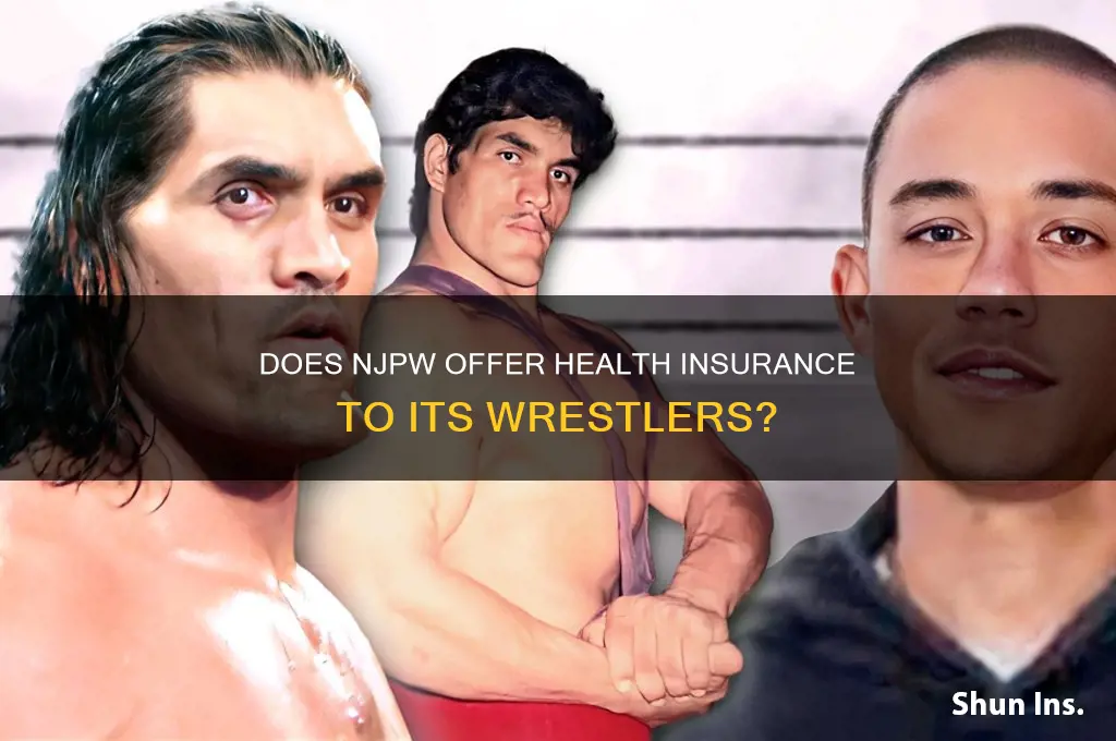 does njpw provide health insurance