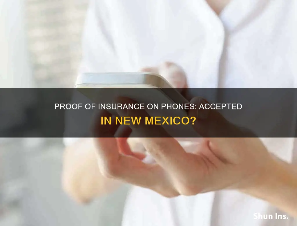 does nm recognize proof of insurance on phones