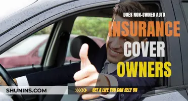 The Fine Line Between Non-Owned Auto Insurance and Owner Coverage