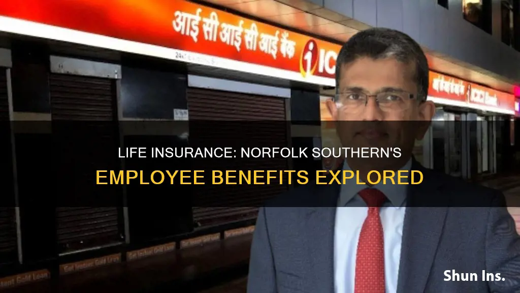 does norfolk southrern carry life insurance