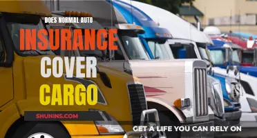 Cargo Conundrum: Unraveling the Auto Insurance Coverage Mystery