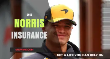 Does Norris Insurance Meet Your Coverage Needs? A Comprehensive Review
