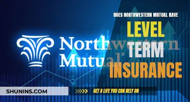 Northwestern Mutual's Level Term Insurance Option: A Comprehensive Overview