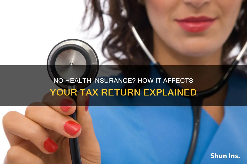 does not having health insurance impact your tax return