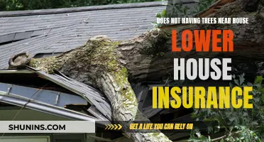 Trees: House Insurance Savings?