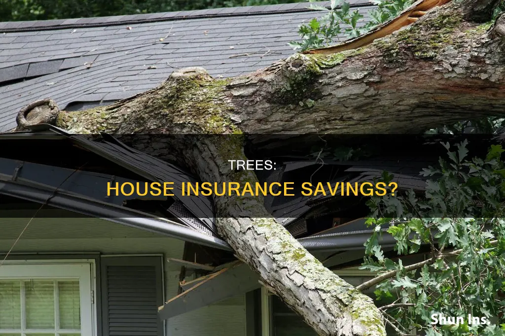 does not having trees near house lower house insurance