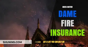 Notre Dame Fire: Insurance Coverage and Financial Aftermath Explained