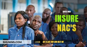Does NSO Insurance Cover NAC Operations? Key Insights Explained