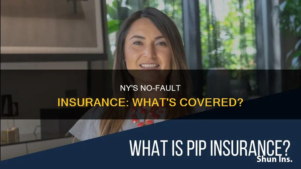 does ny carry pip insurance