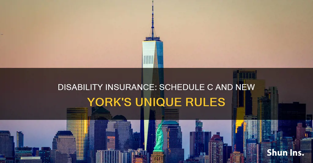 does ny disability insurance go on schedule c