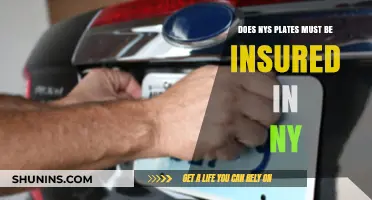 NYS Plates Insurance Requirement: Must You Insure in New York?