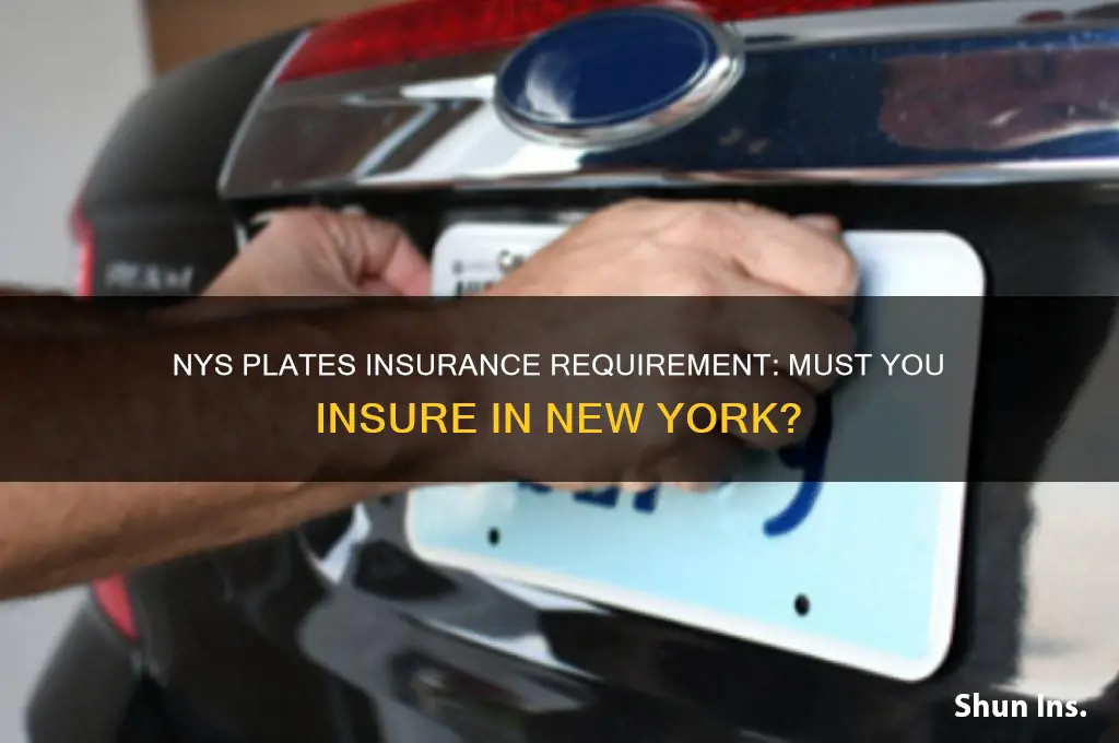 does nys plates must be insured in ny