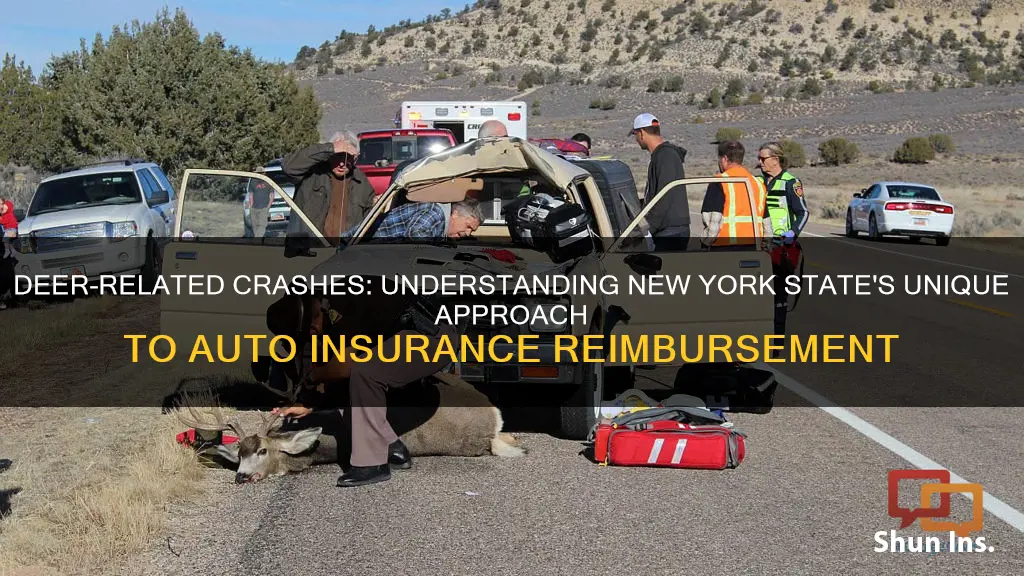 does nys reimburse auto insurance companies for accidents involving deer