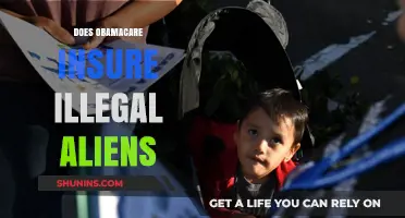 Does Obamacare Cover Undocumented Immigrants? Facts and Misconceptions Explained