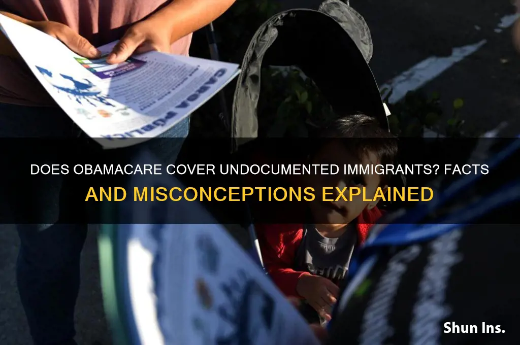 does obamacare insure illegal aliens