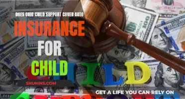 Ohio Child Support: Auto Insurance Coverage for Children Explained