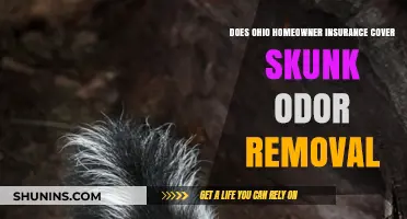 Homeowner Insurance: Skunk Odor Removal Covered in Ohio?