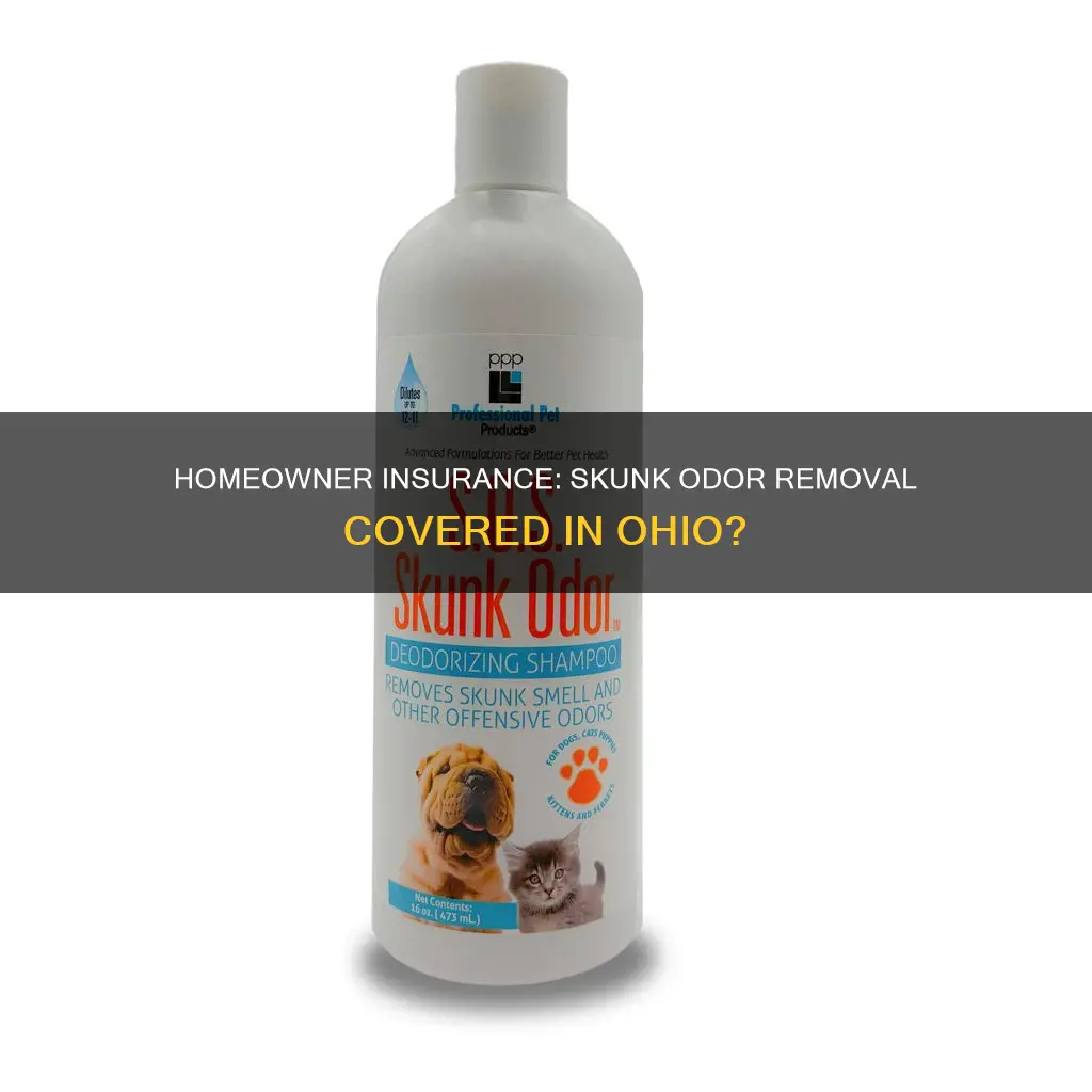 does ohio homeowner insurance cover skunk odor removal