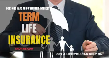 Term Life Insurance: Who Owns the Policy?