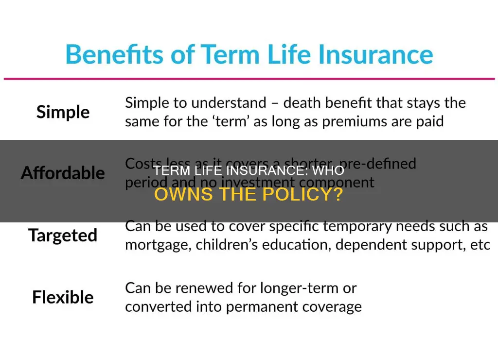 does one have an ownsership interest in term life insurance