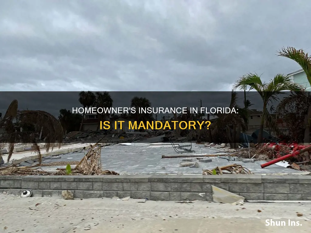 does one have to have homeowner