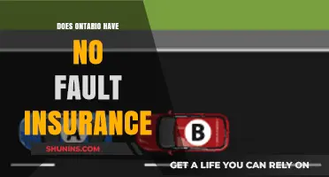 Ontario's No-Fault Insurance: Understanding Coverage and Claims Process