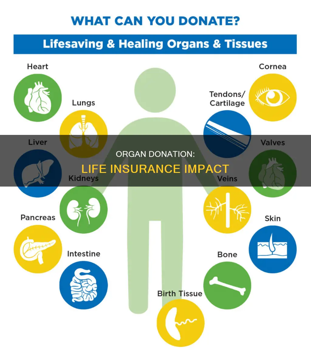 does organ donation affect life insurance