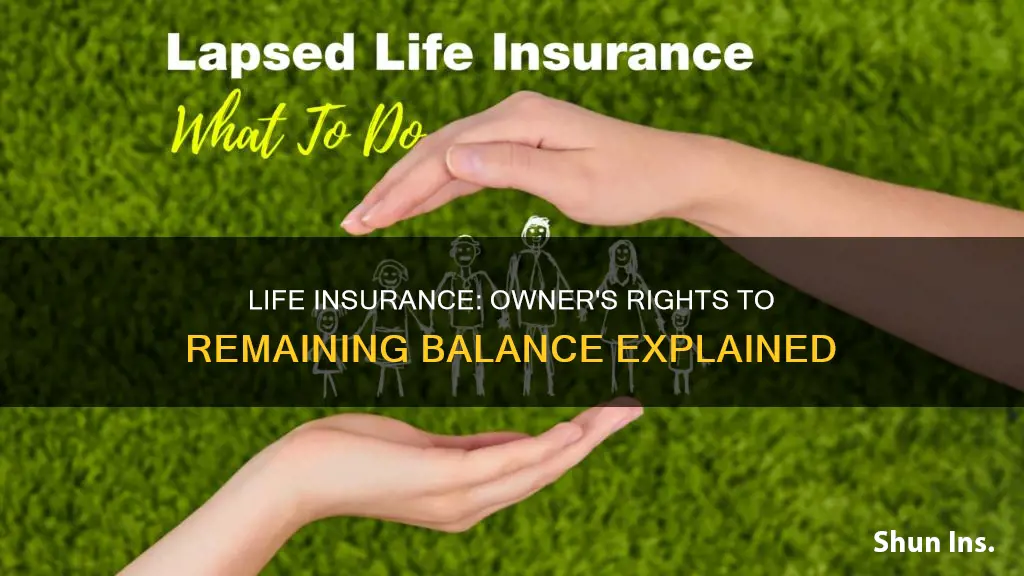 does owner keep remaining balance of lapsed life insurance