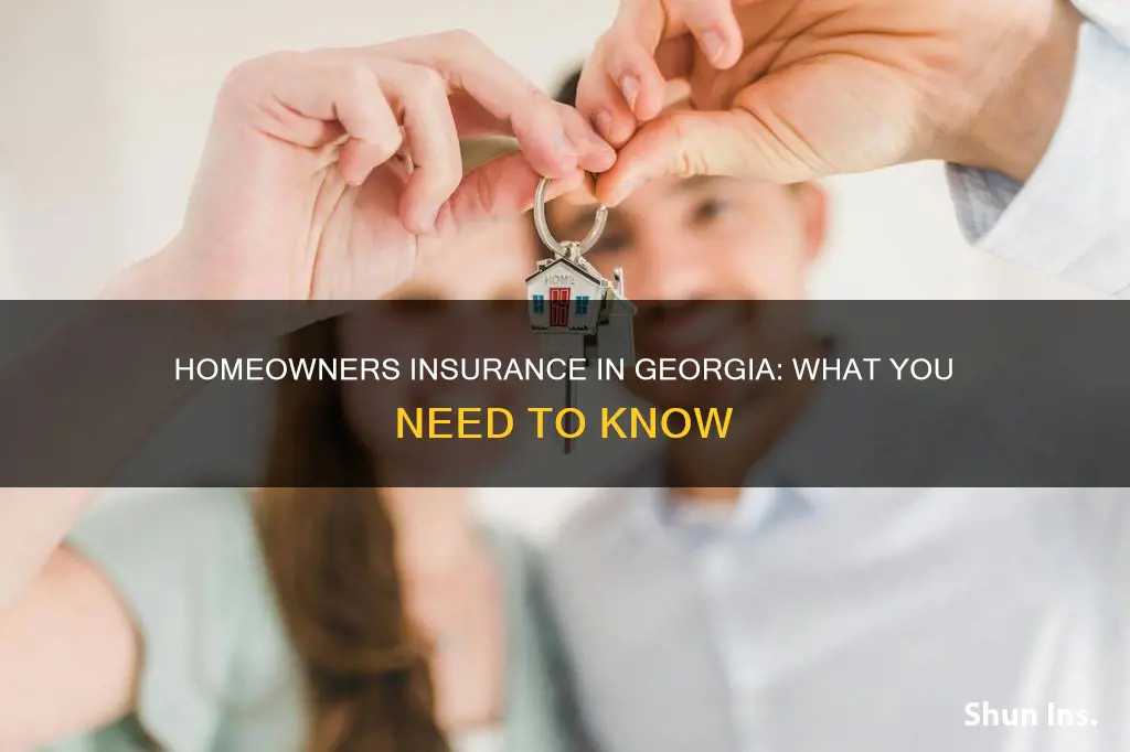 does owners sell homeowners insurance in Georgia