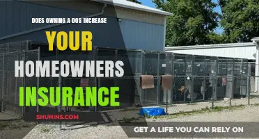 Dog Owners: Is Your Home Insurance Affected?