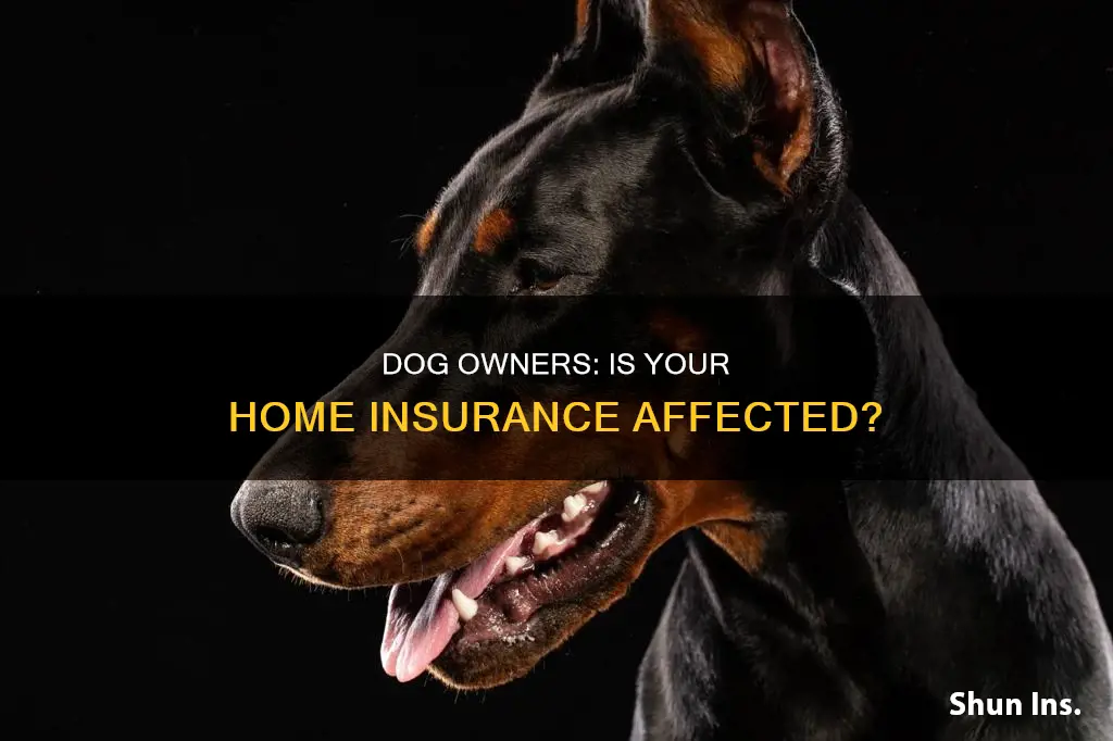 does owning a dog increase your homeowners insurance
