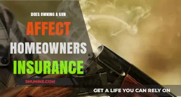 Gun Ownership: Impact on Home Insurance
